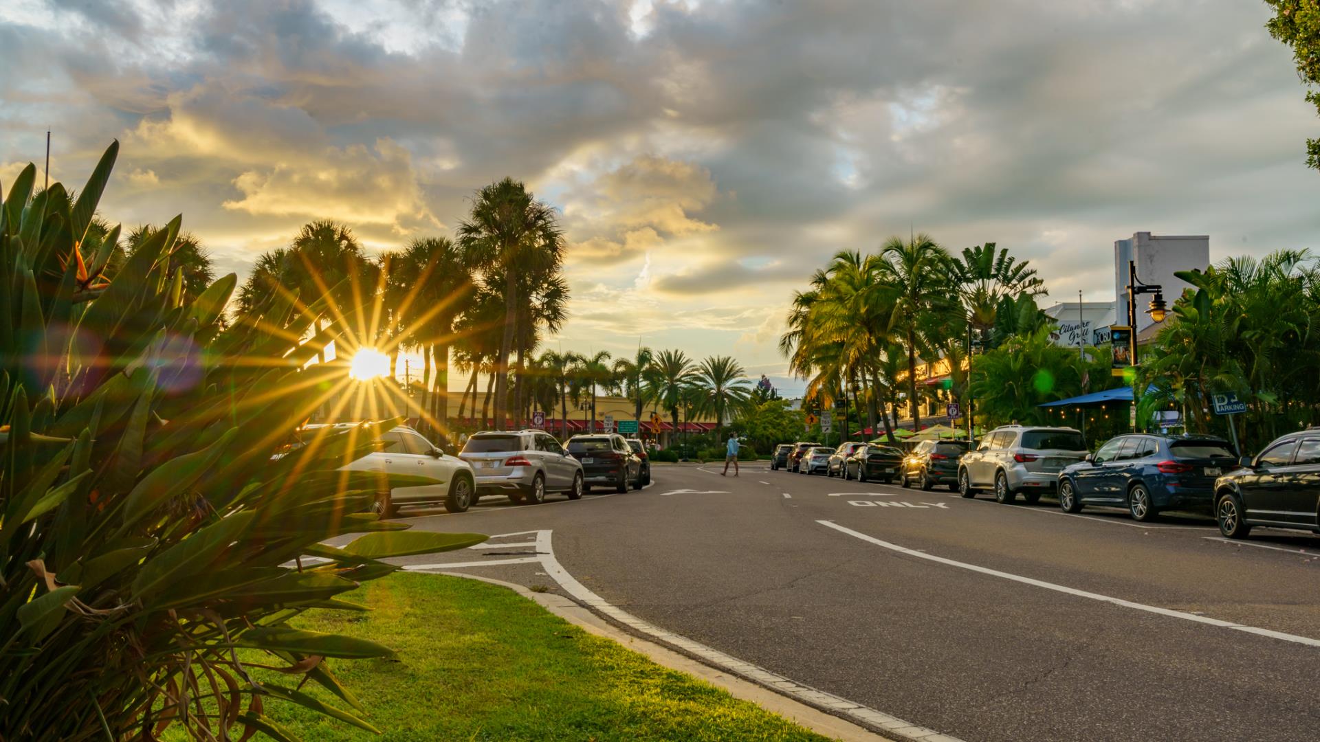 St. Armands Web-17