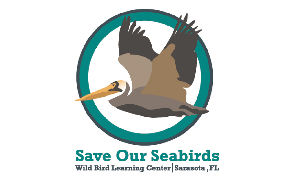 Save Our Seabirds