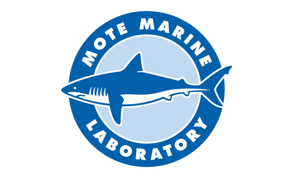 Mote_Member_Box-1