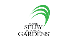 SELBY-1