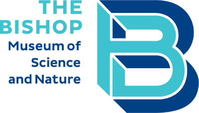 logo-bishop-2
