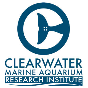 clearwater aquarium