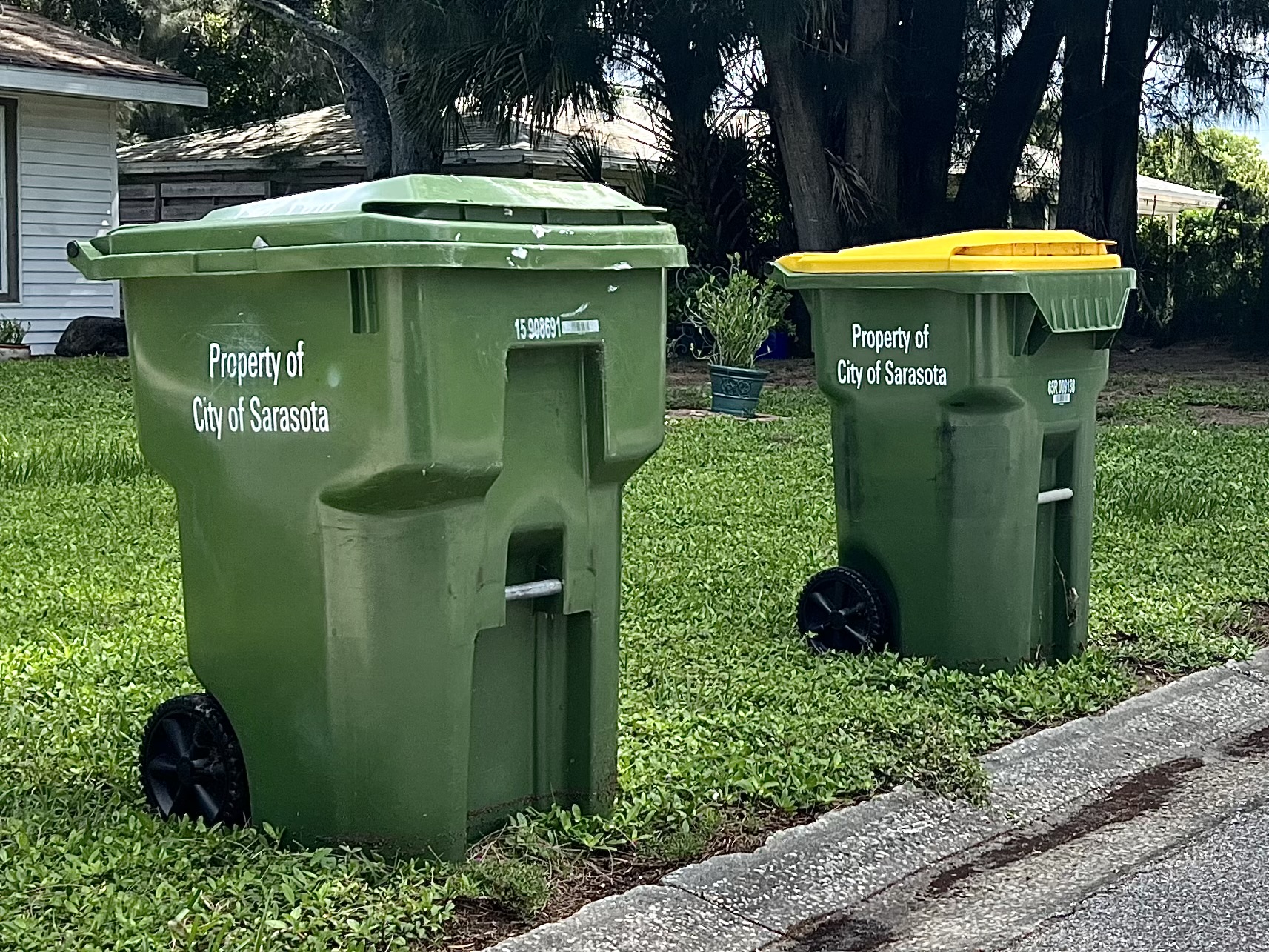 City SW carts